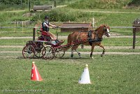 013 P13-MANIABILITE- ATTELAGE - 27052017-ATE 1462 : 2017, 27 Mai 2017, Concours ATTELAGE 2017, Maniabilité, P13