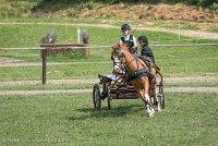 014 P13-MANIABILITE- ATTELAGE - 27052017-ATE 1463 : 2017, 27 Mai 2017, Concours ATTELAGE 2017, Maniabilité, P13