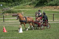 015 P13-MANIABILITE- ATTELAGE - 27052017-ATE 1464 : 2017, 27 Mai 2017, Concours ATTELAGE 2017, Maniabilité, P13