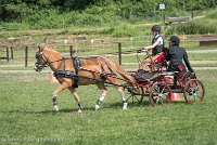 016 P13-MANIABILITE- ATTELAGE - 27052017-ATE 1465 : 2017, 27 Mai 2017, Concours ATTELAGE 2017, Maniabilité, P13