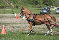 018 P13-MANIABILITE- ATTELAGE - 27052017-ATE 1467 : 2017, 27 Mai 2017, Concours ATTELAGE 2017, Maniabilité, P13