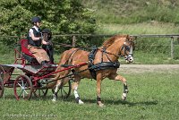 019 P13-MANIABILITE- ATTELAGE - 27052017-ATE 1468 : 2017, 27 Mai 2017, Concours ATTELAGE 2017, Maniabilité, P13