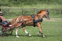 020 P13-MANIABILITE- ATTELAGE - 27052017-ATE 1469 : 2017, 27 Mai 2017, Concours ATTELAGE 2017, Maniabilité, P13