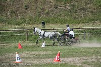 004 P14-MANIABILITE- ATTELAGE - 27052017-ATE 1072 : 2017, 27 Mai 2017, Concours ATTELAGE 2017, Maniabilité, P14