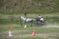 004 P14-MANIABILITE- ATTELAGE - 27052017-ATE 1072 : 2017, 27 Mai 2017, Concours ATTELAGE 2017, Maniabilité, P14