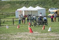 005 P14-MANIABILITE- ATTELAGE - 27052017-ATE 1073 : 2017, 27 Mai 2017, Concours ATTELAGE 2017, Maniabilité, P14