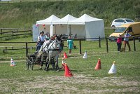 006 P14-MANIABILITE- ATTELAGE - 27052017-ATE 1074 : 2017, 27 Mai 2017, Concours ATTELAGE 2017, Maniabilité, P14