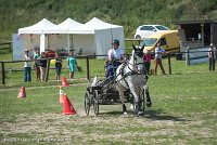 007 P14-MANIABILITE- ATTELAGE - 27052017-ATE 1075 : 2017, 27 Mai 2017, Concours ATTELAGE 2017, Maniabilité, P14