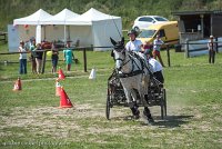 008 P14-MANIABILITE- ATTELAGE - 27052017-ATE 1076 : 2017, 27 Mai 2017, Concours ATTELAGE 2017, Maniabilité, P14