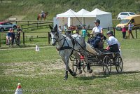 009 P14-MANIABILITE- ATTELAGE - 27052017-ATE 1077 : 2017, 27 Mai 2017, Concours ATTELAGE 2017, Maniabilité, P14