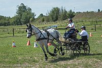 011 P14-MANIABILITE- ATTELAGE - 27052017-ATE 1079 : 2017, 27 Mai 2017, Concours ATTELAGE 2017, Maniabilité, P14