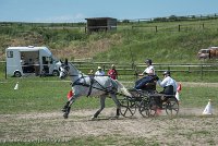 015 P14-MANIABILITE- ATTELAGE - 27052017-ATE 1083 : 2017, 27 Mai 2017, Concours ATTELAGE 2017, Maniabilité, P14