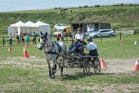 016 P14-MANIABILITE- ATTELAGE - 27052017-ATE 1084 : 2017, 27 Mai 2017, Concours ATTELAGE 2017, Maniabilité, P14