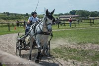 017 P14-MANIABILITE- ATTELAGE - 27052017-ATE 1085 : 2017, 27 Mai 2017, Concours ATTELAGE 2017, Maniabilité, P14