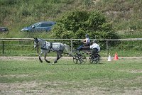 019 P14-MANIABILITE- ATTELAGE - 27052017-ATE 1087 : 2017, 27 Mai 2017, Concours ATTELAGE 2017, Maniabilité, P14