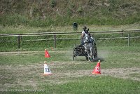 021 P14-MANIABILITE- ATTELAGE - 27052017-ATE 1089 : 2017, 27 Mai 2017, Concours ATTELAGE 2017, Maniabilité, P14