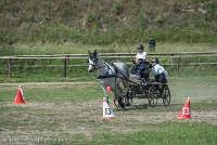 022 P14-MANIABILITE- ATTELAGE - 27052017-ATE 1090 : 2017, 27 Mai 2017, Concours ATTELAGE 2017, Maniabilité, P14