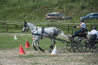 023 P14-MANIABILITE- ATTELAGE - 27052017-ATE 1091 : 2017, 27 Mai 2017, Concours ATTELAGE 2017, Maniabilité, P14