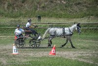 024 P14-MANIABILITE- ATTELAGE - 27052017-ATE 1092 : 2017, 27 Mai 2017, Concours ATTELAGE 2017, Maniabilité, P14