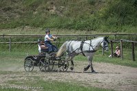 025 P14-MANIABILITE- ATTELAGE - 27052017-ATE 1093 : 2017, 27 Mai 2017, Concours ATTELAGE 2017, Maniabilité, P14