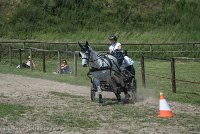 026 P14-MANIABILITE- ATTELAGE - 27052017-ATE 1094 : 2017, 27 Mai 2017, Concours ATTELAGE 2017, Maniabilité, P14