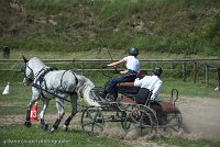 027 P14-MANIABILITE- ATTELAGE - 27052017-ATE 1095 : 2017, 27 Mai 2017, Concours ATTELAGE 2017, Maniabilité, P14