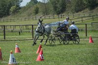 029 P14-MANIABILITE- ATTELAGE - 27052017-ATE 1097 : 2017, 27 Mai 2017, Concours ATTELAGE 2017, Maniabilité, P14