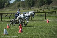 030 P14-MANIABILITE- ATTELAGE - 27052017-ATE 1098 : 2017, 27 Mai 2017, Concours ATTELAGE 2017, Maniabilité, P14