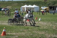 031 P14-MANIABILITE- ATTELAGE - 27052017-ATE 1099 : 2017, 27 Mai 2017, Concours ATTELAGE 2017, Maniabilité, P14