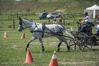 032 P14-MANIABILITE- ATTELAGE - 27052017-ATE 1100 : 2017, 27 Mai 2017, Concours ATTELAGE 2017, Maniabilité, P14