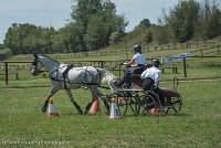 033 P14-MANIABILITE- ATTELAGE - 27052017-ATE 1101 : 2017, 27 Mai 2017, Concours ATTELAGE 2017, Maniabilité, P14