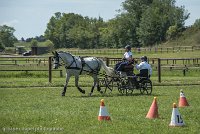 034 P14-MANIABILITE- ATTELAGE - 27052017-ATE 1102 : 2017, 27 Mai 2017, Concours ATTELAGE 2017, Maniabilité, P14