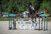 0013 CSO SAINT AULDE- GP110 - ARGENTINO D'EGLEFIN 0212CSO Saint Aulde GP 110CSO 2802- : 2 juillet 2016, 2016, ARGENTINO D'EGLEFIN, CSO Saint Aulde, GRANDCLEMENT Claire, Grand prix 110cm