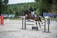 021CSO ST AULDE -GP  115 - AVRILL DALTON Z -5945 : 2016, 3 juillet 2016, AVRILL DALTON Z, CHAPPET Céline, CSO Saint Aulde, Grand Prix 115cm