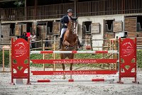 0015CSO SAINT AULDE - GP 130  - QUALINDE DE LA MARFEE 0351CSO Saint Aulde GP 130CSO 3944- : 2 juillet 2016, 2016, BRIDOUX Thibault, CSO Saint Aulde, DOLCE DU GRAND ROUTHEUX, Grand prix 130cm, QUALINE DE LA MARFEE