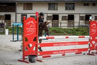 015CSO ST AULDE -PREPA 100 - QUEEN DE ROUERIE -4536 : 2016, 3 juillet 2016, COMINET Cindy, CSO Saint Aulde, P4, PREPARATOIRE 100 cm, Prepa, QUEEN DE ROUERIE