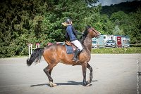 014CSO ST AULDE -PREPA 95 - TRIOMPHE DE POILLEY -1980 : 2 juillet 2016, 2016, AIRES Morgane, CSO Saint Aulde, P2, Prépa 95cm, TRIOMPHE DE POILLEY
