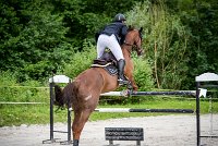 0015CSO SAINT AULDE - GP 130 - UNEASY TAME 0203CSO Saint Aulde GP 130CSO 3797- : 2 juillet 2016, 2016, CSO Saint Aulde, Grand prix 130cm, P9, TROISLOUCHE Amael, UNEASY TAME