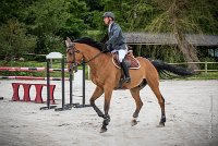 0003CSO SAINT AULDE - GP 130 - URLANDO 0003CSO Saint Aulde GP 130CSO 3597- : 2 juillet 2016, 2016, CSO Saint Aulde, Grand prix 130cm, P1, URLANDO DE COQUERIE, VILAIN Régis
