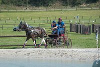 001 D103 - DRESSAGE -ATTELAGE LOUVRES - MARATHON - 28052017-ATE 1965 : 2017, 28 mAI 2017, Concours ATTELAGE 2017, D103, MARATHON