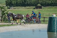 002 D103 - DRESSAGE -ATTELAGE LOUVRES - MARATHON - 28052017-ATE 1966 : 2017, 28 mAI 2017, Concours ATTELAGE 2017, D103, MARATHON