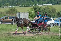 003 D103 - DRESSAGE -ATTELAGE LOUVRES - MARATHON - 28052017-ATE 1967 : 2017, 28 mAI 2017, Concours ATTELAGE 2017, D103, MARATHON