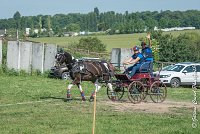 004 D103 - DRESSAGE -ATTELAGE LOUVRES - MARATHON - 28052017-ATE 1979 : 2017, 28 mAI 2017, Concours ATTELAGE 2017, D103, MARATHON