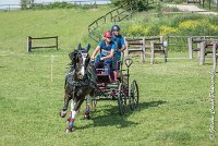 005 D103 - DRESSAGE -ATTELAGE LOUVRES - MARATHON - 28052017-ATE 1983 : 2017, 28 mAI 2017, Concours ATTELAGE 2017, D103, MARATHON, Obstacle 3