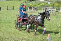 006 D103 - DRESSAGE -ATTELAGE LOUVRES - MARATHON - 28052017-ATE 1984 : 2017, 28 mAI 2017, Concours ATTELAGE 2017, D103, MARATHON, Obstacle 3