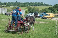 007 D103 - DRESSAGE -ATTELAGE LOUVRES - MARATHON - 28052017-ATE 1986 : 2017, 28 mAI 2017, Concours ATTELAGE 2017, D103, MARATHON, Obstacle 3