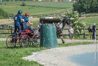 008 D103 - DRESSAGE -ATTELAGE LOUVRES - MARATHON - 28052017-ATE 1987 : 2017, 28 mAI 2017, Concours ATTELAGE 2017, D103, MARATHON, Obstacle 3