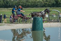 009 D103 - DRESSAGE -ATTELAGE LOUVRES - MARATHON - 28052017-ATE 1988 : 2017, 28 mAI 2017, Concours ATTELAGE 2017, D103, MARATHON, Obstacle 3