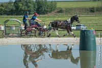 010 D103 - DRESSAGE -ATTELAGE LOUVRES - MARATHON - 28052017-ATE 1989 : 2017, 28 mAI 2017, Concours ATTELAGE 2017, D103, MARATHON, Obstacle 3