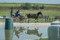 011 D103 - DRESSAGE -ATTELAGE LOUVRES - MARATHON - 28052017-ATE 1990 : 2017, 28 mAI 2017, Concours ATTELAGE 2017, D103, MARATHON, Obstacle 3